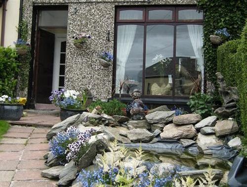 Number 43 Bed & Breakfast Londonderry Exterior foto